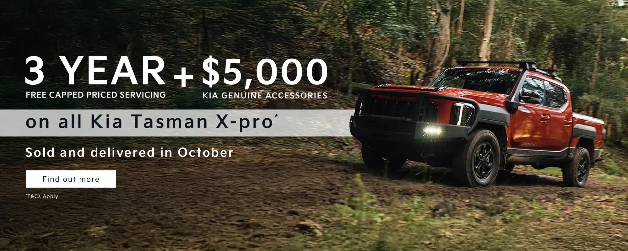 Bk Tasman Hp
